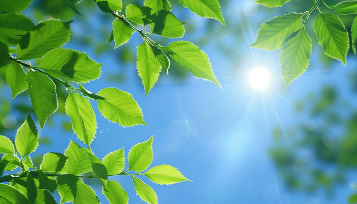 私たちについて